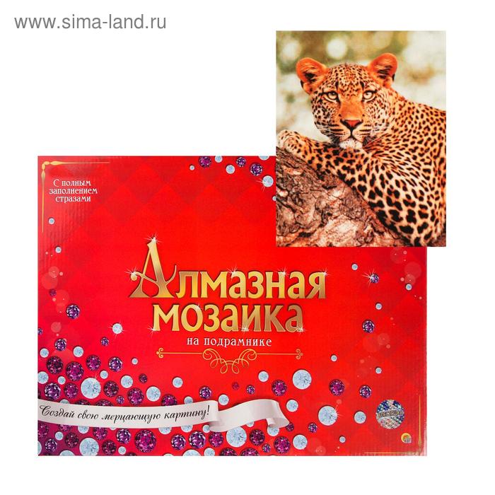 Алмазная мозаика 30х40 см, с подрамником, с полным заполнением «Настороженный леопард на ветке»
Алмазная мозаика 30х40 см, с подрамником, с полным заполнением «Настороженный леопард на ветке»