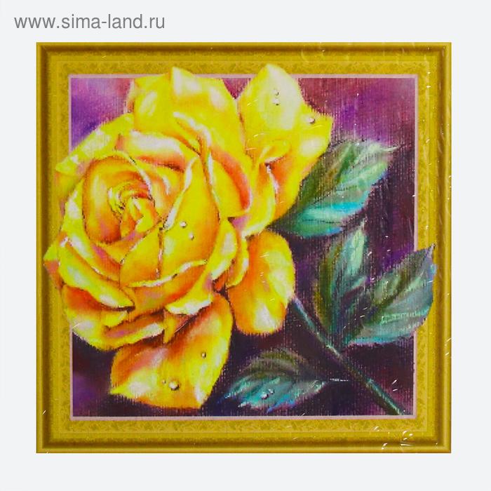Алмазная картина «Золотая роза»
Алмазная картина «Золотая роза»