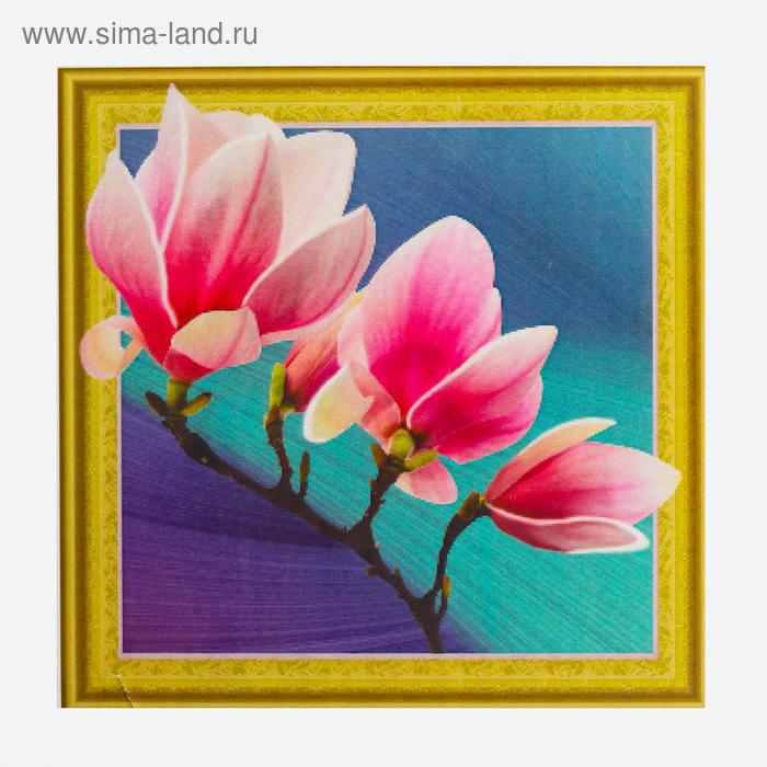 Алмазная картина «Цветущая магнолия»
Алмазная картина «Цветущая магнолия»