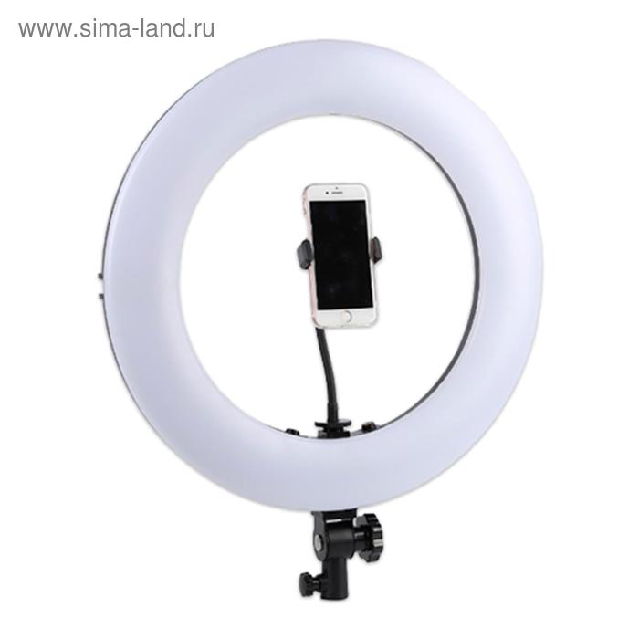 Кольцевая лампа OKIRA LED 480 SM 1888 I, 60 Вт, 480 светодиодов, d=45 см, + штатив, чёрная
Кольцевая лампа OKIRA LED 480 SM 1888 I, 60 Вт, 480 светодиодов, d=45 см, + штатив, чёрная