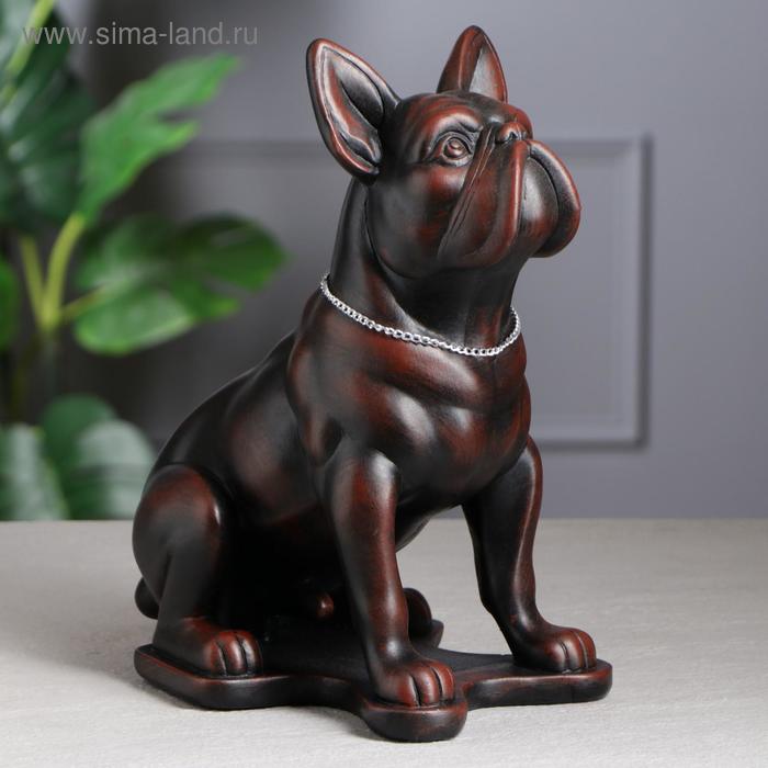 Копилка "Собака Бульдог", чёрно-красная, 30 см
Копилка "Собака Бульдог", чёрно-красная, 30 см