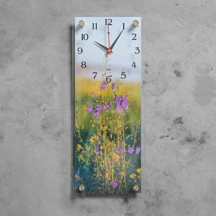 Часы настенные, серия Природа, "Иван-чай", плавный ход, 50 х 20 см 
Часы настенные, серия Природа, "Иван-чай", плавный ход, 50 х 20 см