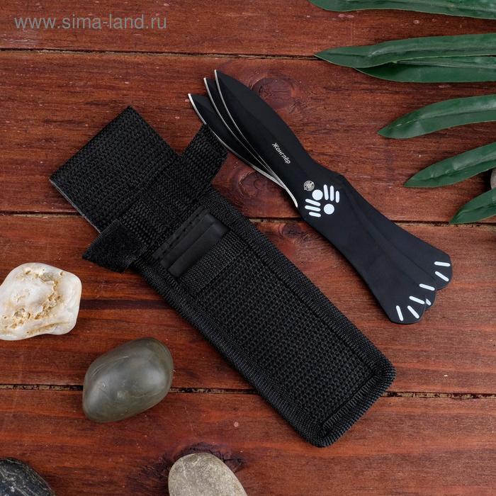 Набор ножей метательных "Жонглер" сталь - 420, рукоять - сталь, 15 см
Набор ножей метательных "Жонглер" сталь - 420, рукоять - сталь, 15 см