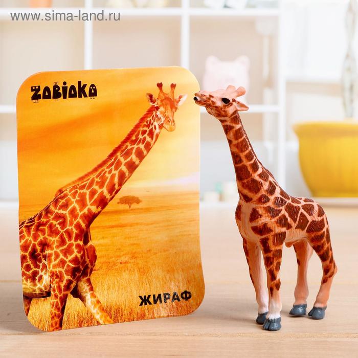 Фигурка «Жираф», с обучающей карточкой
Фигурка «Жираф», с обучающей карточкой