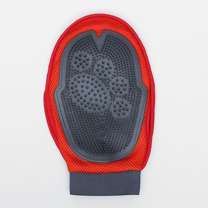 Рукавица-щетка для шерсти, на правую и левую руку с отверстием для пальца, микс
Рукавица-щетка для шерсти, на правую и левую руку с отверстием для пальца, микс