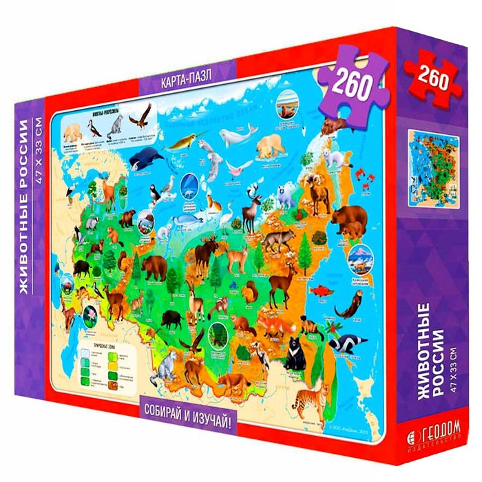 Карта-пазл «Животные России», 47 × 33 см, 260 деталей
Карта-пазл «Животные России», 47 × 33 см, 260 деталей