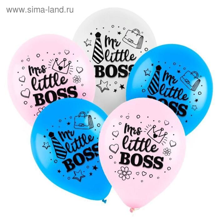 Шар латексный 12" «Маленький босс», пастель, 2-сторонний, набор 100 шт., МИКС
Шар латексный 12" «Маленький босс», пастель, 2-сторонний, набор 100 шт., МИКС
