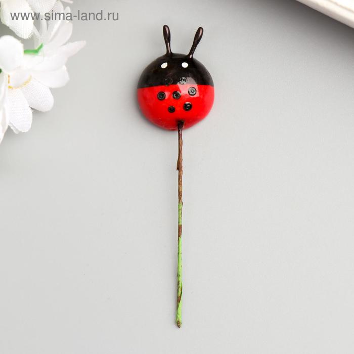 Декор для творчества "Божьи коровки" набор 10 шт 1,9х1,9 см
Декор для творчества "Божьи коровки" набор 10 шт 1,9х1,9 см