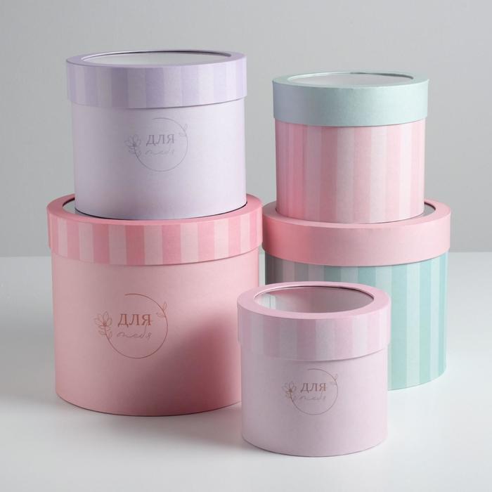 Набор коробок с PVC-окном 5 в 1 «Полоски», 14 х 14 х 13 - 22 х 22 х 19,5 см
Набор коробок с PVC-окном 5 в 1 «Полоски», 14 х 14 х 13 - 22 х 22 х 19,5 см