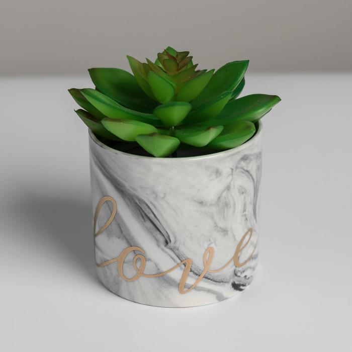 Керамическое кашпо с тиснением «Любовь», 8 х 7,5 см
Керамическое кашпо с тиснением «Любовь», 8 х 7,5 см