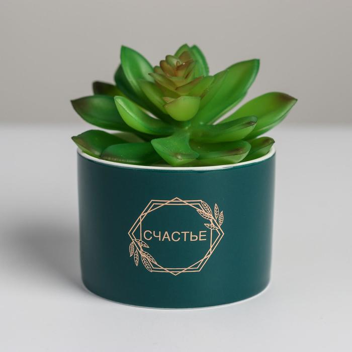 Керамическое кашпо с тиснением «Счастье», 8 х 5,5 см
Керамическое кашпо с тиснением «Счастье», 8 х 5,5 см