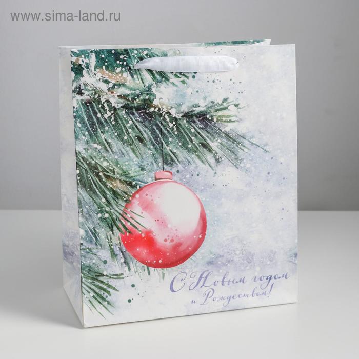Пакет ламинированный вертикальный «С Новым годом и Рождеством», ML 23 × 27 × 11,5 см
Пакет ламинированный вертикальный «С Новым годом и Рождеством», ML 23 × 27 × 11,5 см