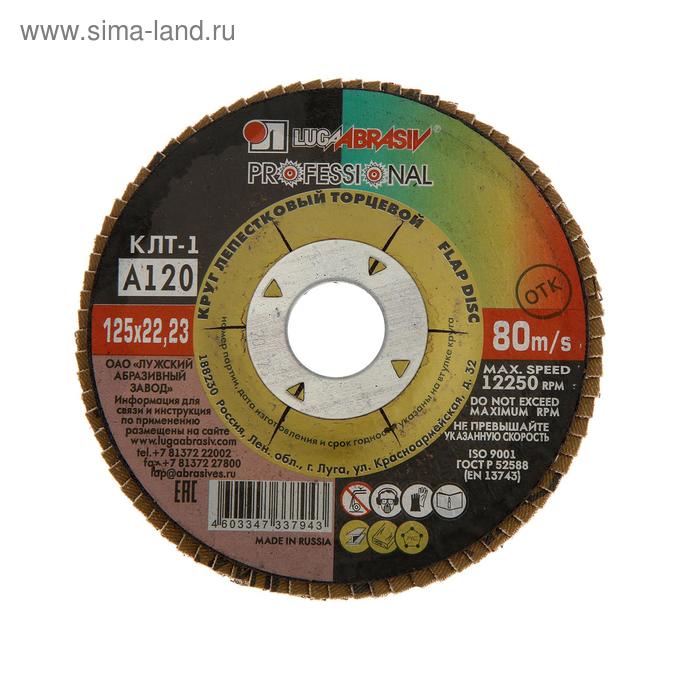 Круг лепестковый торцевой плоский "Луга" КЛТ1, А120 (14А 12/Р120), 125х22 мм
Круг лепестковый торцевой плоский "Луга" КЛТ1, А120 (14А 12/Р120), 125х22 мм