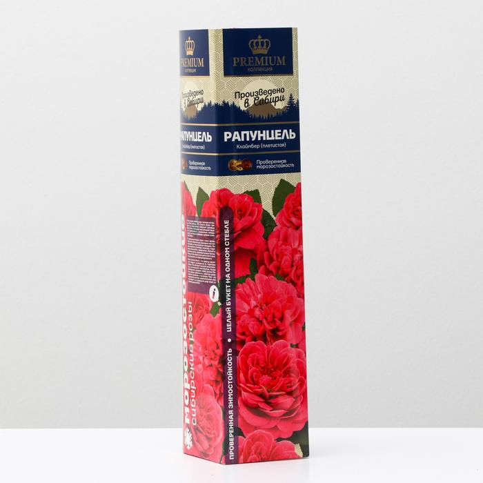 Саженец розы Рапунцель, 1 шт, Весна 2022
Саженец розы Рапунцель, 1 шт, Весна 2022