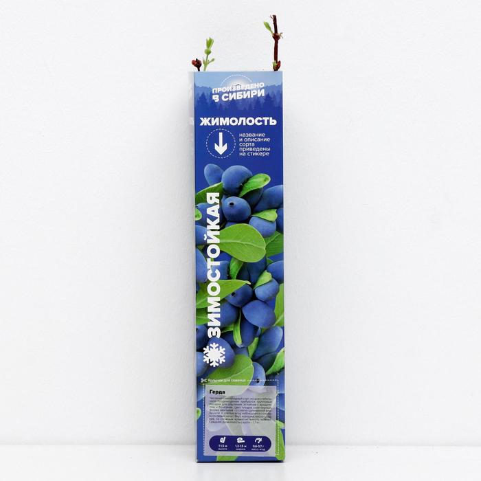 Саженец Жимолость Герда, 1 шт, Весна 2022
Саженец Жимолость Герда, 1 шт, Весна 2022