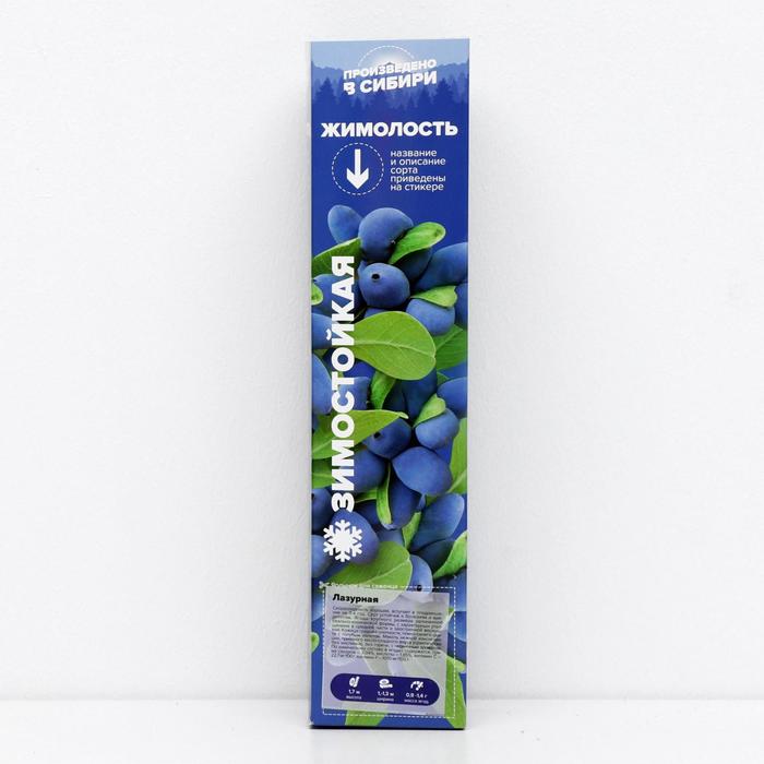 Саженец Жимолость Лазурная, 1 шт, Весна 2022
Саженец Жимолость Лазурная, 1 шт, Весна 2022