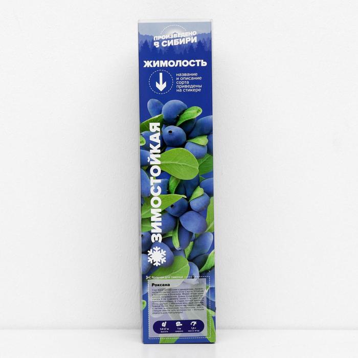 Саженец Жимолость Роксана, 1 шт, Весна 2022
Саженец Жимолость Роксана, 1 шт, Весна 2022