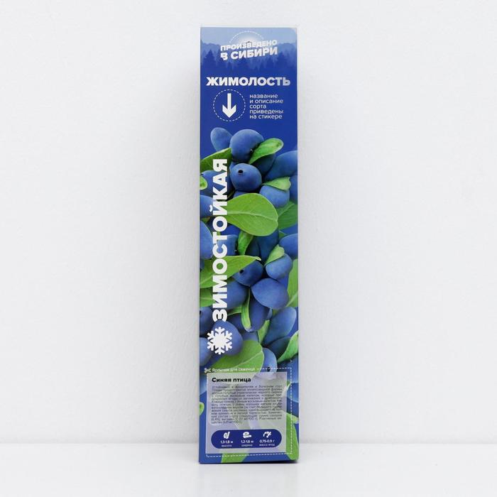 Саженец Жимолость Синяя Птица, 1 шт, Весна 2022 
Саженец Жимолость Синяя Птица, 1 шт, Весна 2022