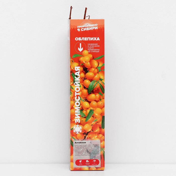 Саженец Облепиха Алтайская, 1 шт, Весна 2022
Саженец Облепиха Алтайская, 1 шт, Весна 2022