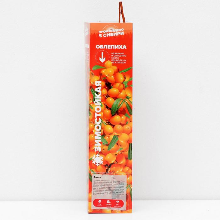 Саженец Облепиха Аюла, 1 шт, Весна 2022
Саженец Облепиха Аюла, 1 шт, Весна 2022