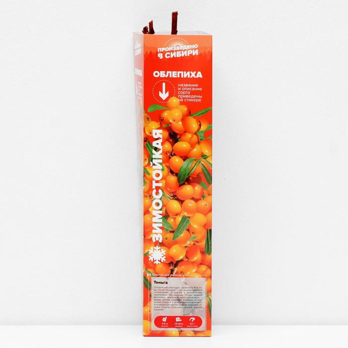 Саженец Облепиха Теньга, 1 шт, Весна 2022 
Саженец Облепиха Теньга, 1 шт, Весна 2022
