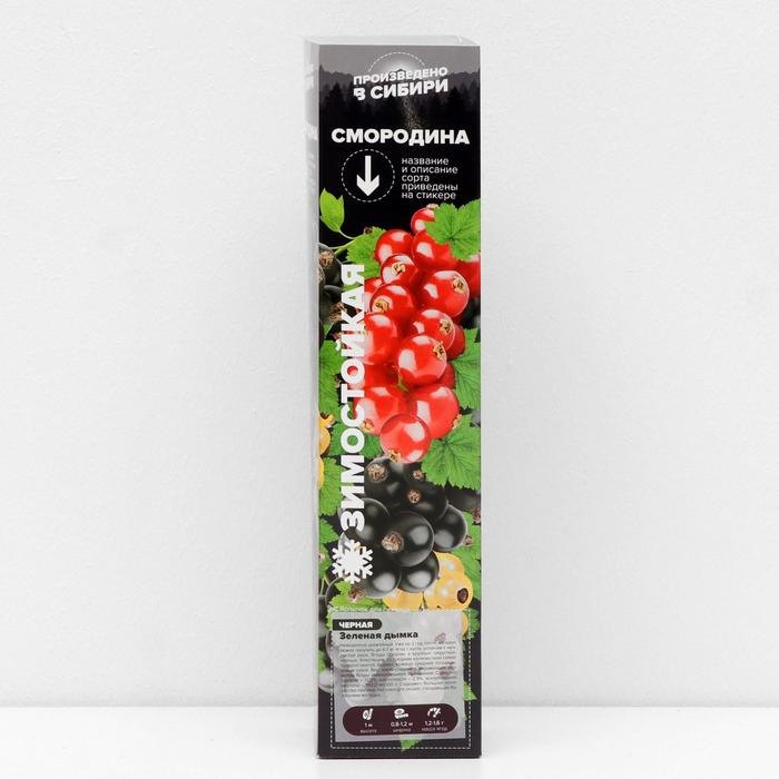 Саженец Смородина Зеленая Дымка, 1 шт, Весна 2022
Саженец Смородина Зеленая Дымка, 1 шт, Весна 2022