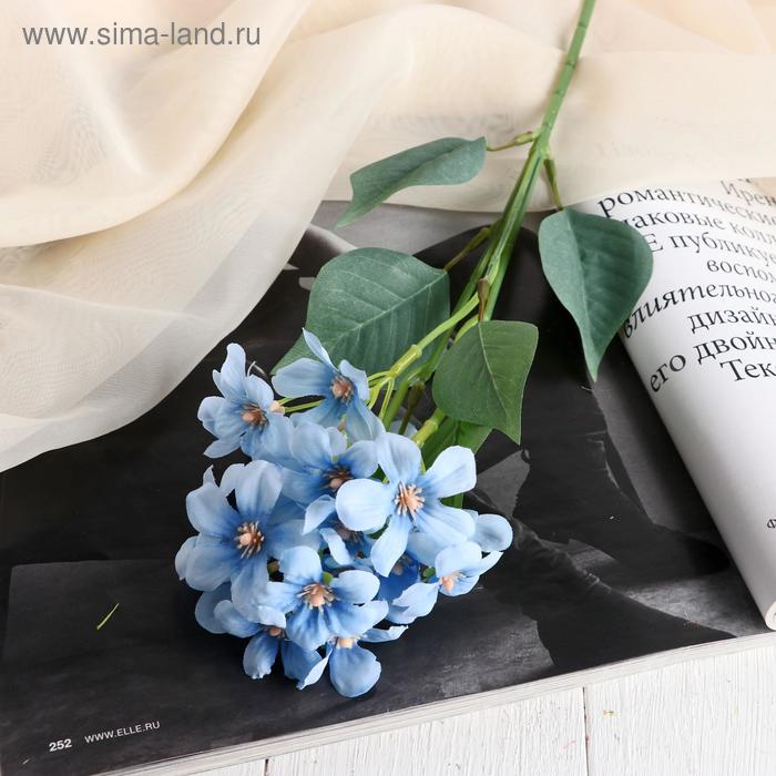 Цветы искусственные "Цветки Сакуры" 3,5х43 см, голубой
Цветы искусственные "Цветки Сакуры" 3,5х43 см, голубой