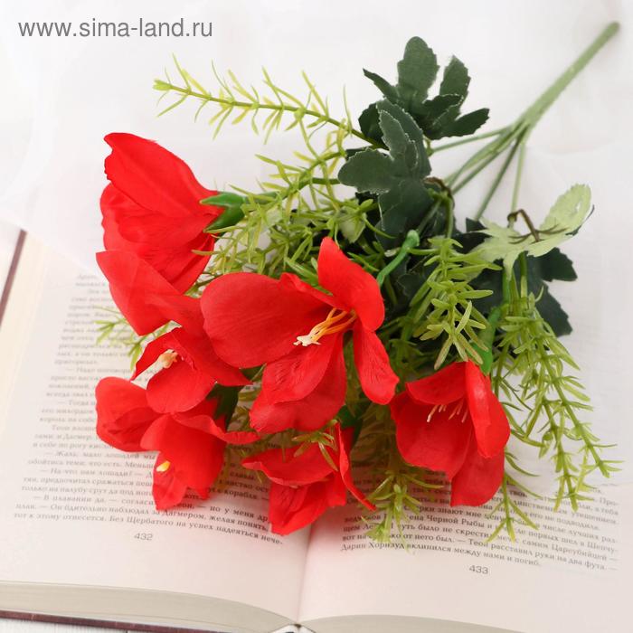 Букет "Пенстемон" 32 см, микс
Букет "Пенстемон" 32 см, микс