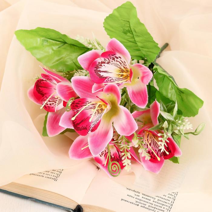 Букет "Альстромерия" 24 см, микс
Букет "Альстромерия" 24 см, микс