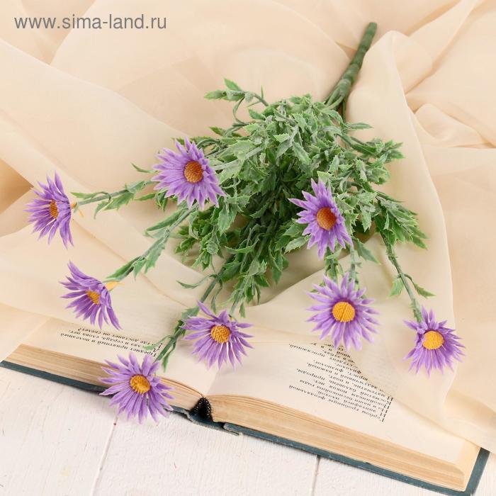 Букет "Мелколепестник" 42 см, микс
Букет "Мелколепестник" 42 см, микс