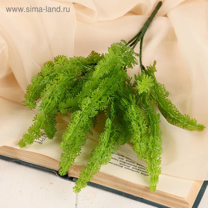 Букет "Тамарикс" 32 см, микс
Букет "Тамарикс" 32 см, микс