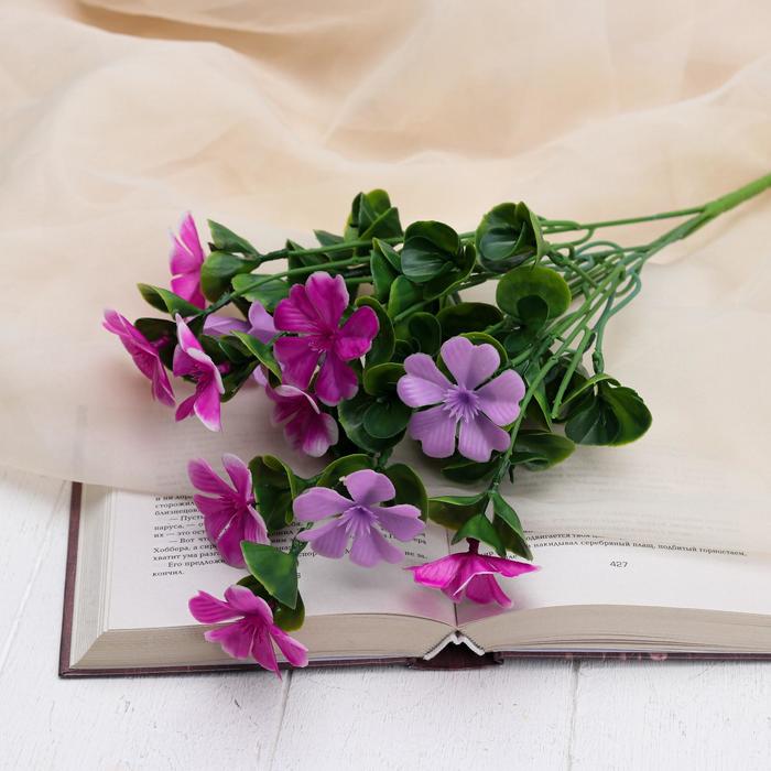 Букет "Брунфельсия" 37 см, микс
Букет "Брунфельсия" 37 см, микс