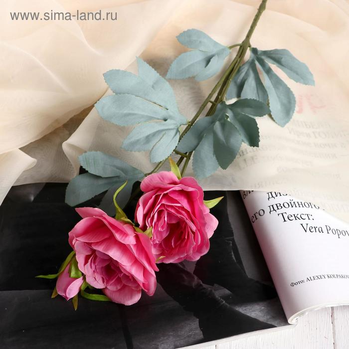 Цветы искусственные "Пион лекарственный" 9х60 см, розовый
Цветы искусственные "Пион лекарственный" 9х60 см, розовый