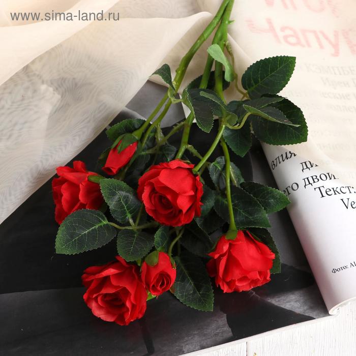 Цветы искусственные "Шиповник" 5х55 см, красный 
Цветы искусственные "Шиповник" 5х55 см, красный