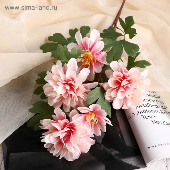 Цветы искусственные "Георгин королевский" 9х65 см, розовый
Цветы искусственные "Георгин королевский" 9х65 см, розовый