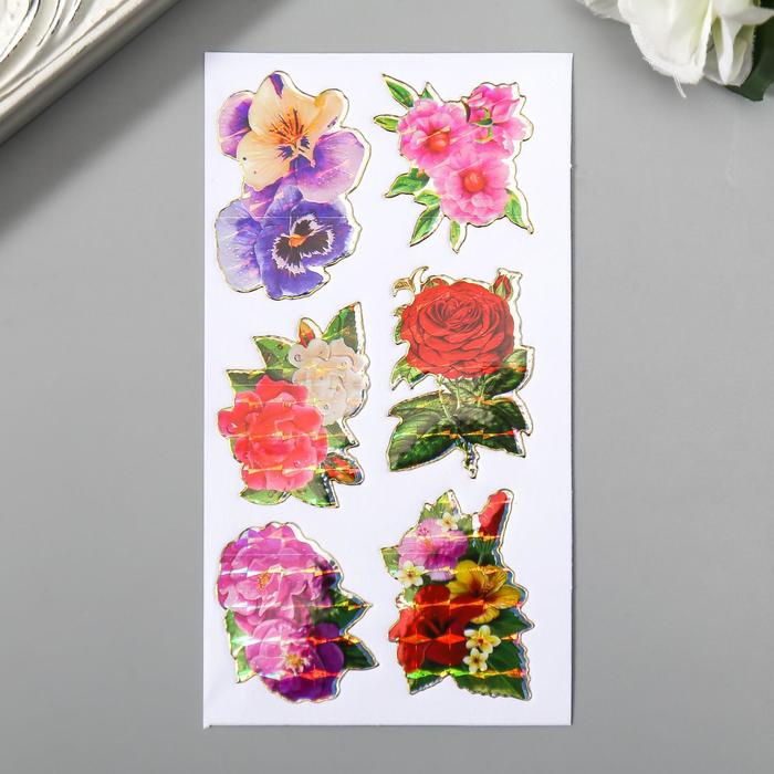 Наклейка пластик голография "Цветы" МИКС 16х8 см
Наклейка пластик голография "Цветы" МИКС 16х8 см