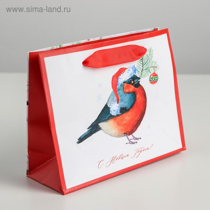 Пакет ламинированный горизонтальный «Снегирёчек», S 15 × 12 × 5.5 см
Пакет ламинированный горизонтальный «Снегирёчек», S 15 × 12 × 5.5 см