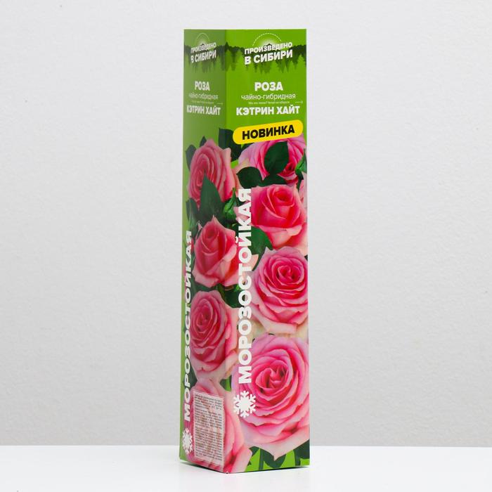 Саженец розы Кэтрин Хайт, 1 шт, Весна 2022
Саженец розы Кэтрин Хайт, 1 шт, Весна 2022