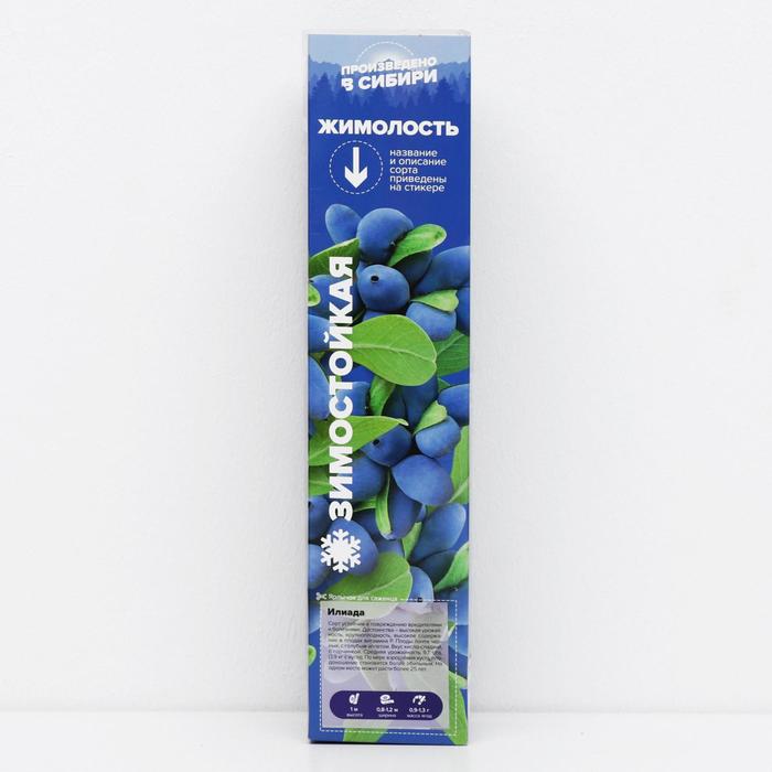 Саженец Жимолость Иллиада, 1 шт, Весна 2022
Саженец Жимолость Иллиада, 1 шт, Весна 2022