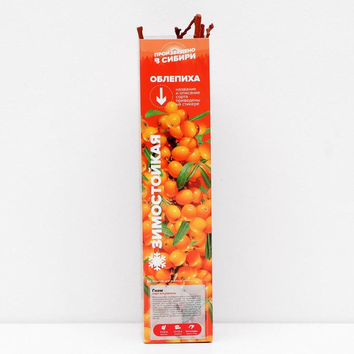 Саженец Облепиха Гном, 1 шт, Весна 2022
Саженец Облепиха Гном, 1 шт, Весна 2022