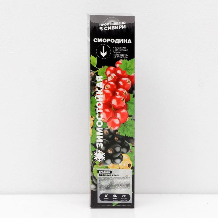 Саженец Смородина Красный Крест, 1 шт, Весна 2022
Саженец Смородина Красный Крест, 1 шт, Весна 2022