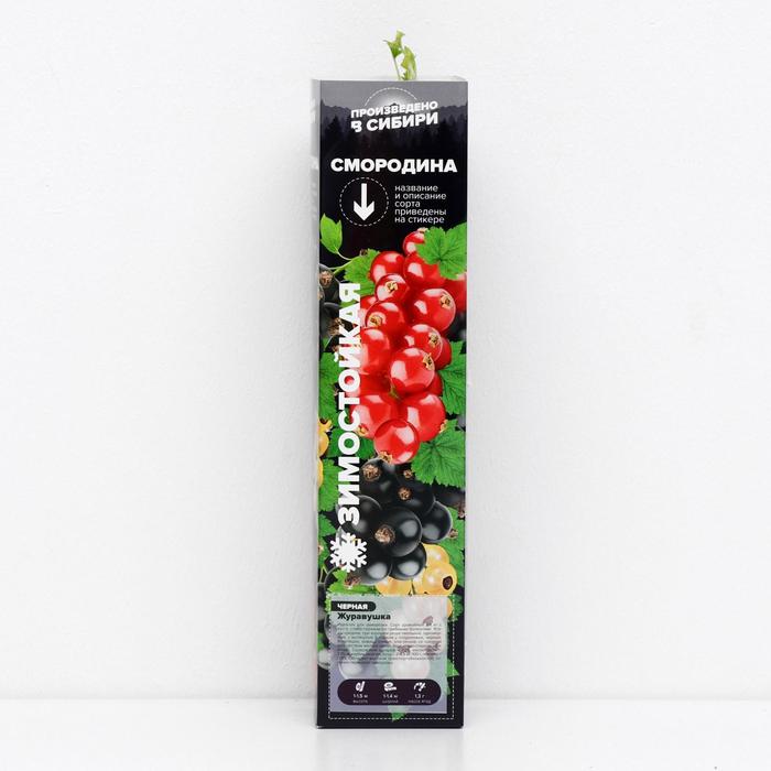 Саженец Смородина Журавушка, 1 шт, Весна 2022
Саженец Смородина Журавушка, 1 шт, Весна 2022