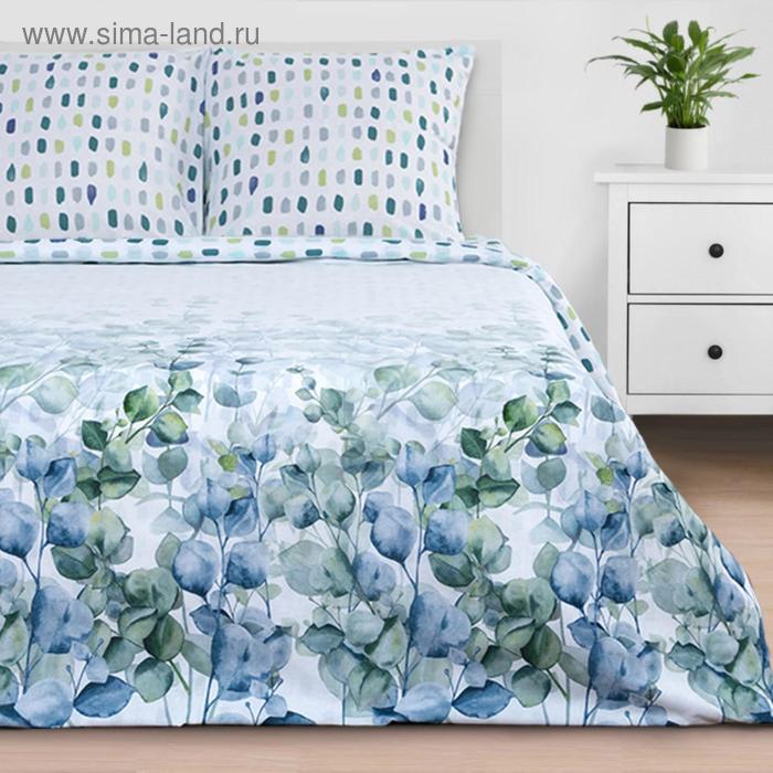 Постельное бельё «Этель» 2 сп Eucalyptus 175х215 см, 200х220 см, 70х70 см - 2 шт
Постельное бельё «Этель» 2 сп Eucalyptus 175х215 см, 200х220 см, 70х70 см - 2 шт