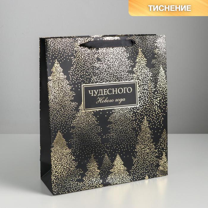 Пакет ламинированный вертикальный «Чудесного Нового года», M 26 × 30 × 9 см