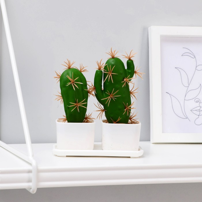 Бонсай в горшке "Кактус" (набор 2 шт) 11,5х12 см
Бонсай в горшке "Кактус" (набор 2 шт) 11,5х12 см