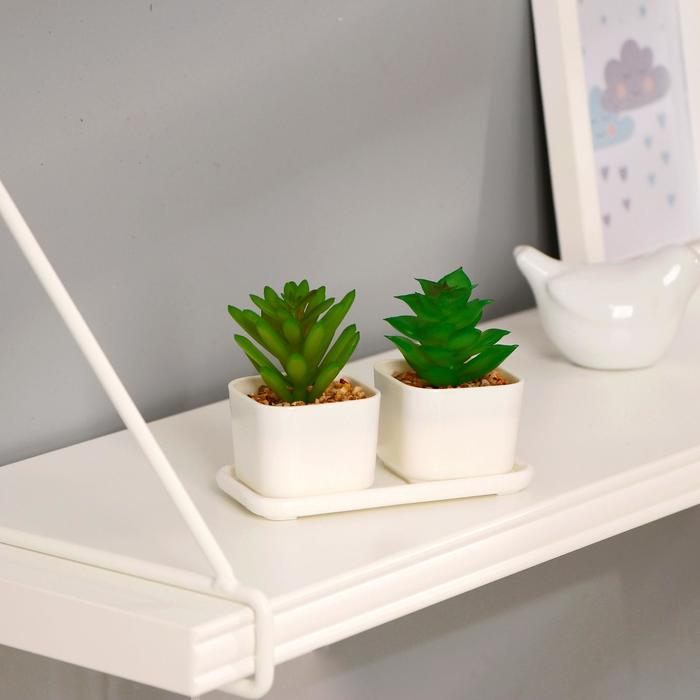 Бонсай в горшке "Сансевиерия" (набор 2 шт) 11,5х6 см МИКС
Бонсай в горшке "Сансевиерия" (набор 2 шт) 11,5х6 см МИКС