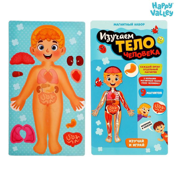 Магнитный набор «Тело человека» 
Магнитный набор «Тело человека»
