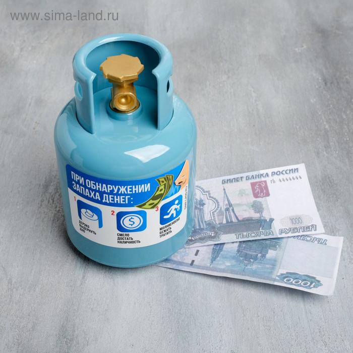 Копилка «При обнаружении запаха денег», 16 х 9 см
Копилка «При обнаружении запаха денег», 16 х 9 см