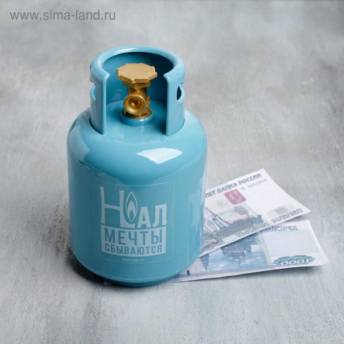 Копилка «Нал мечты сбываются», 16 х 9 см
Копилка «Нал мечты сбываются», 16 х 9 см