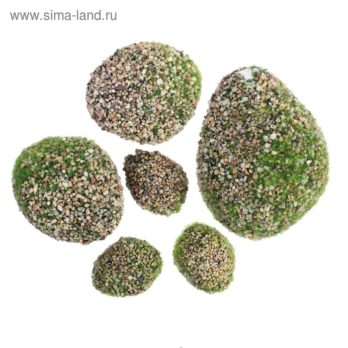 Мох искусственный «Камни», с каменной крошкой, набор 6 шт.
Мох искусственный «Камни», с каменной крошкой, набор 6 шт.